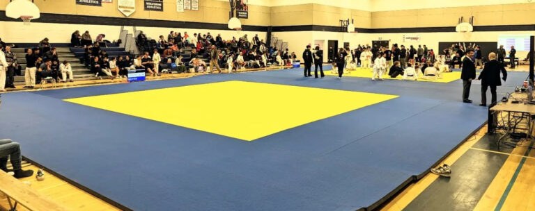 The mats, ready for the tournament